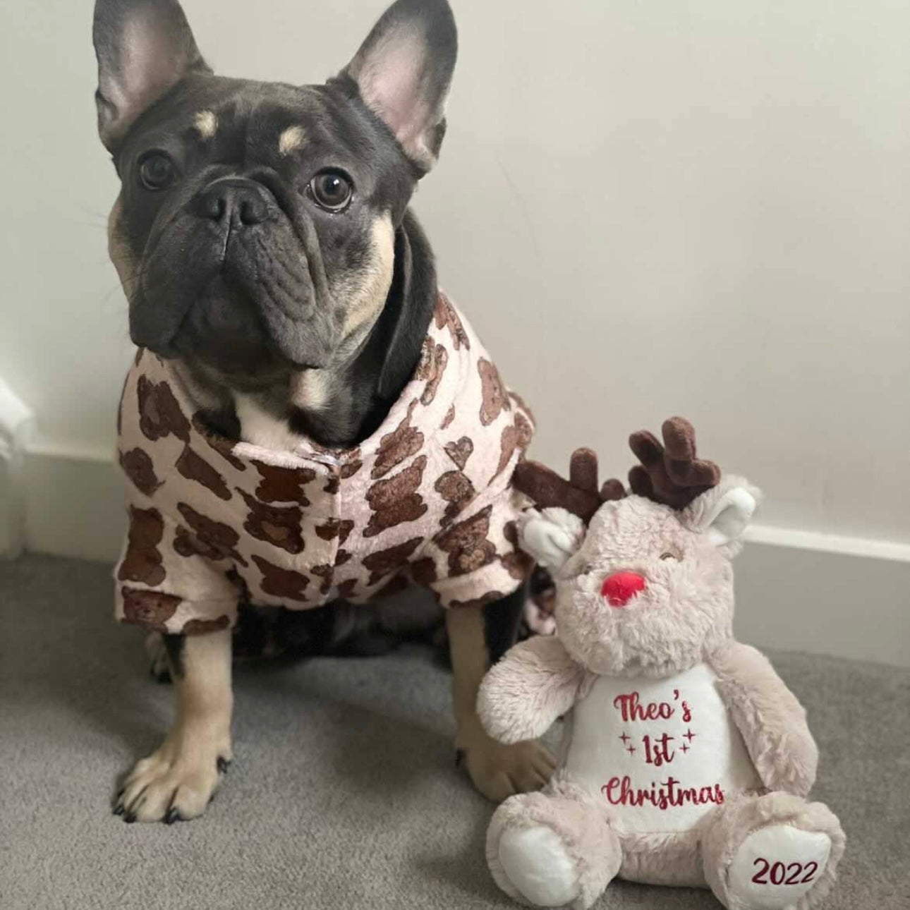 CHRISTMAS REINDEER TEDDY