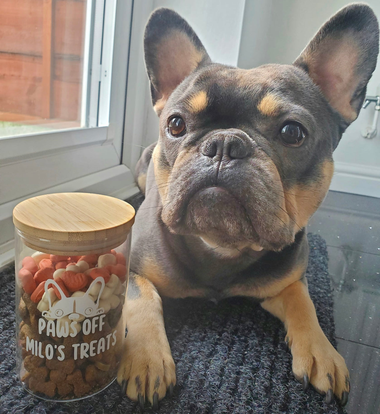 TREAT JAR